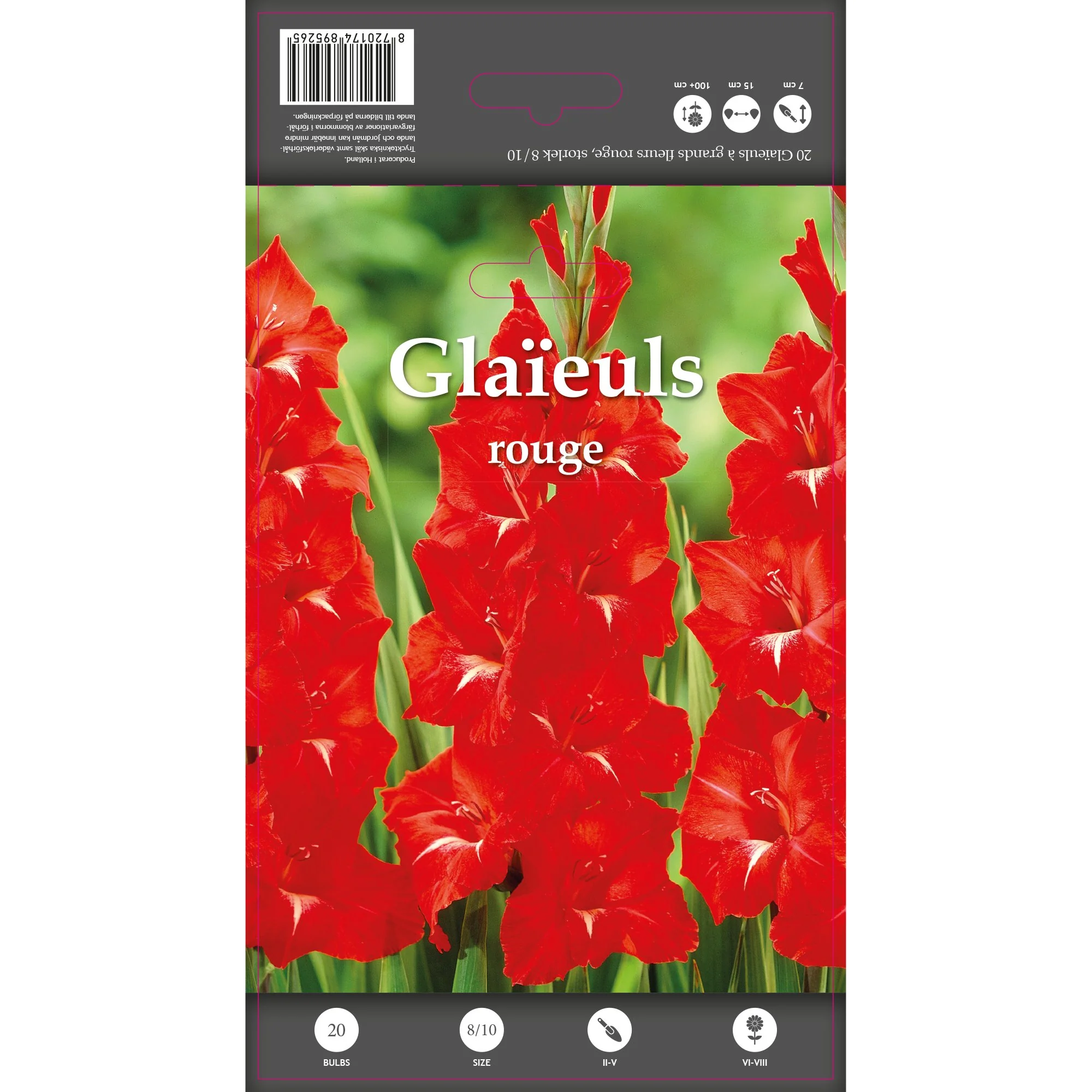 20 glaieuls rouge
