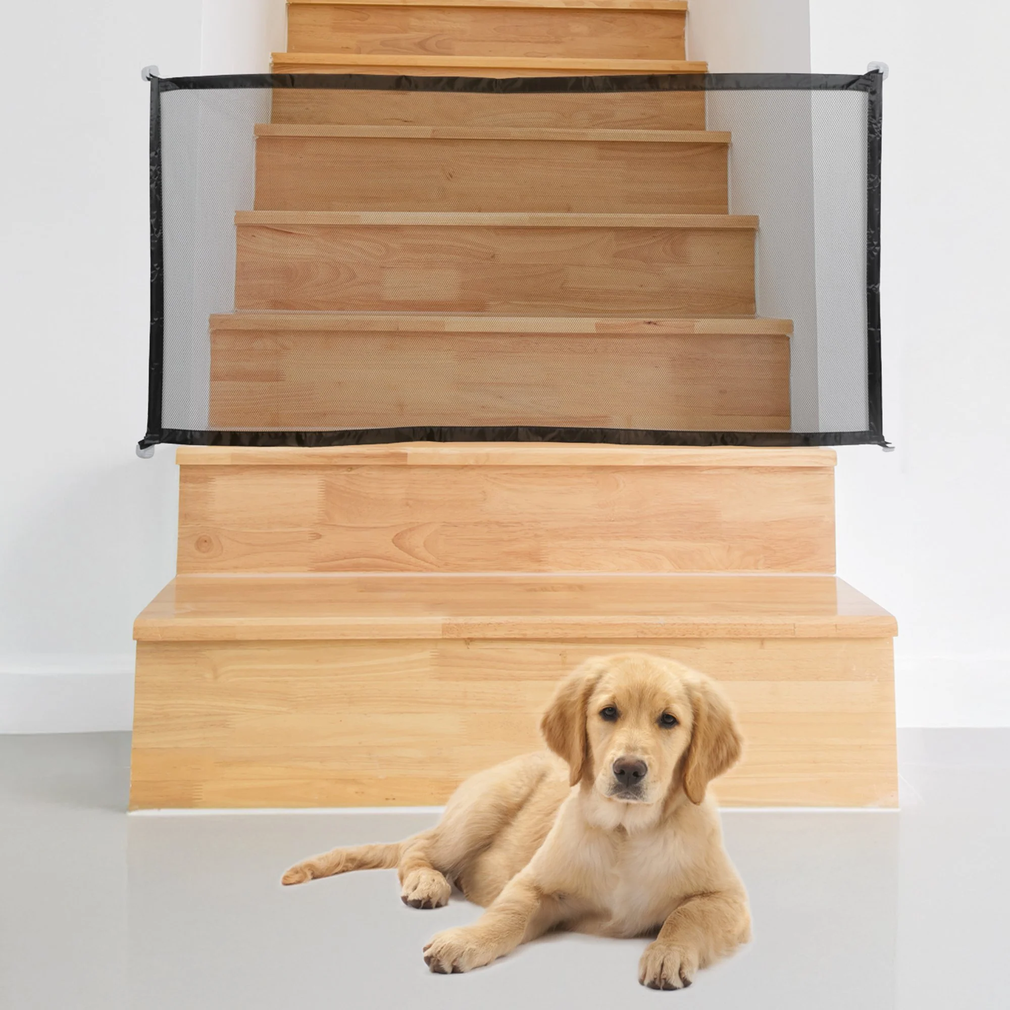 Barrière de sécurité pour chien - Image 3