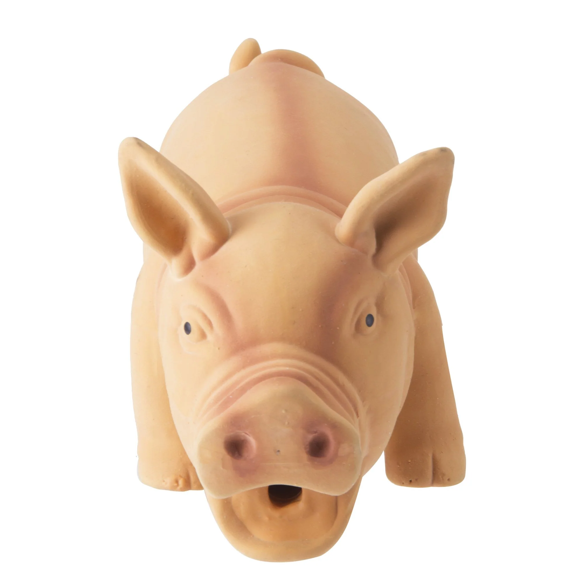 Cochon sonore - Image 3