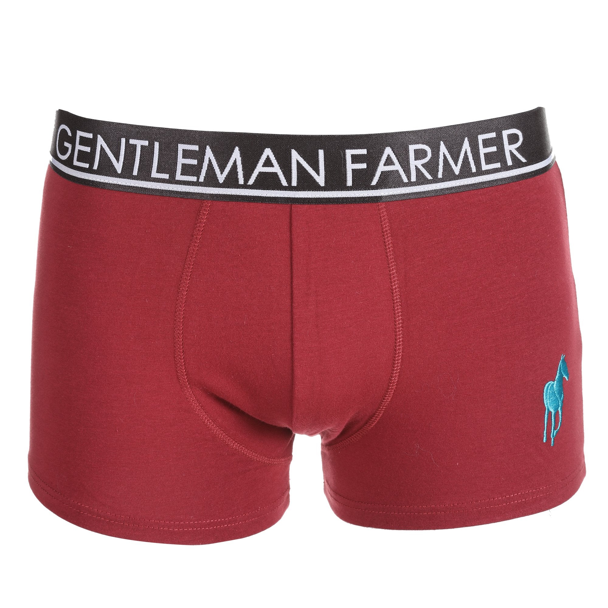 Coffret de 3 boxers coton uni - Image 6