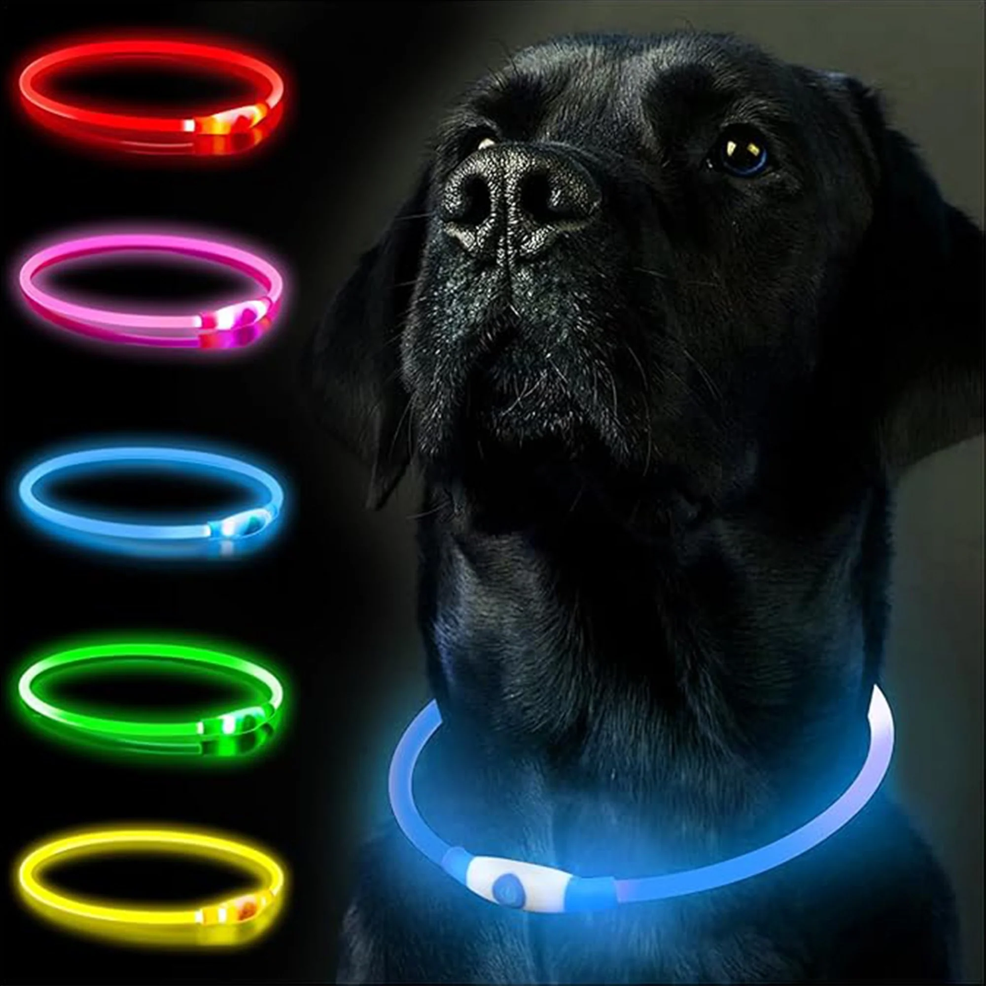 Collier lumineux rechargeable pour chiens