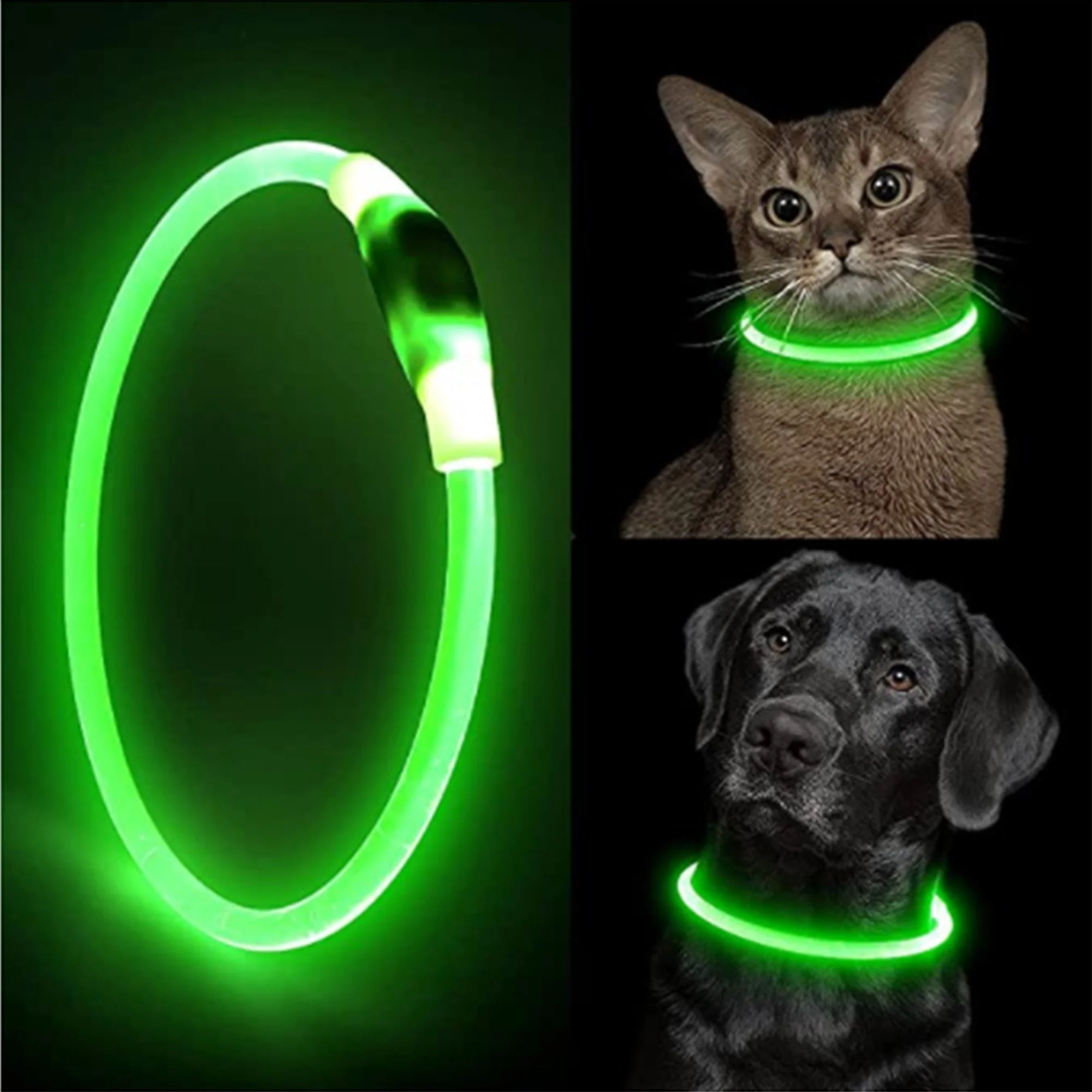 Collier lumineux rechargeable pour chiens - Image 2