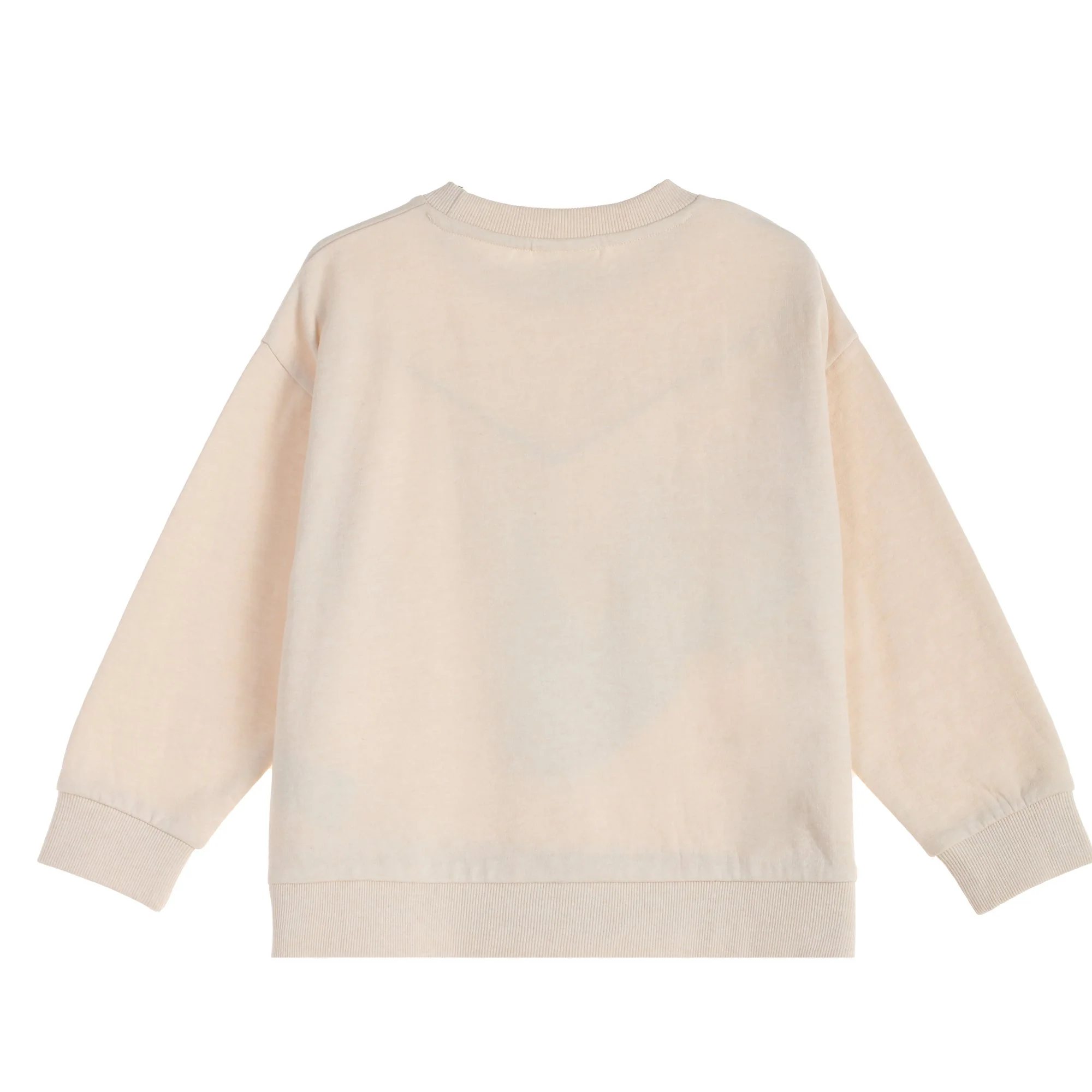 Ensemble Jogging La Reine des Neiges
