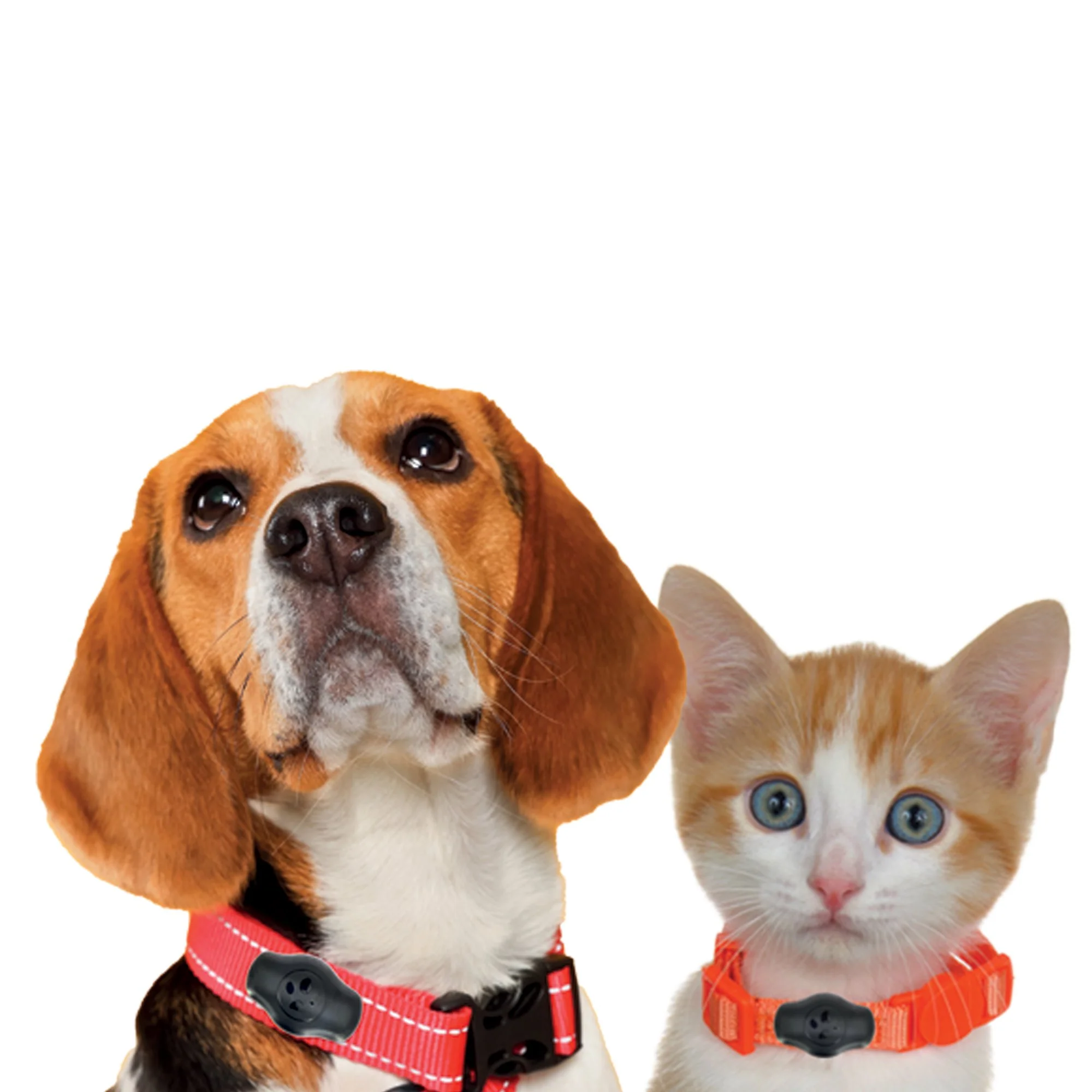 Etui traceur Airtag pour collier d'animal - Image 2