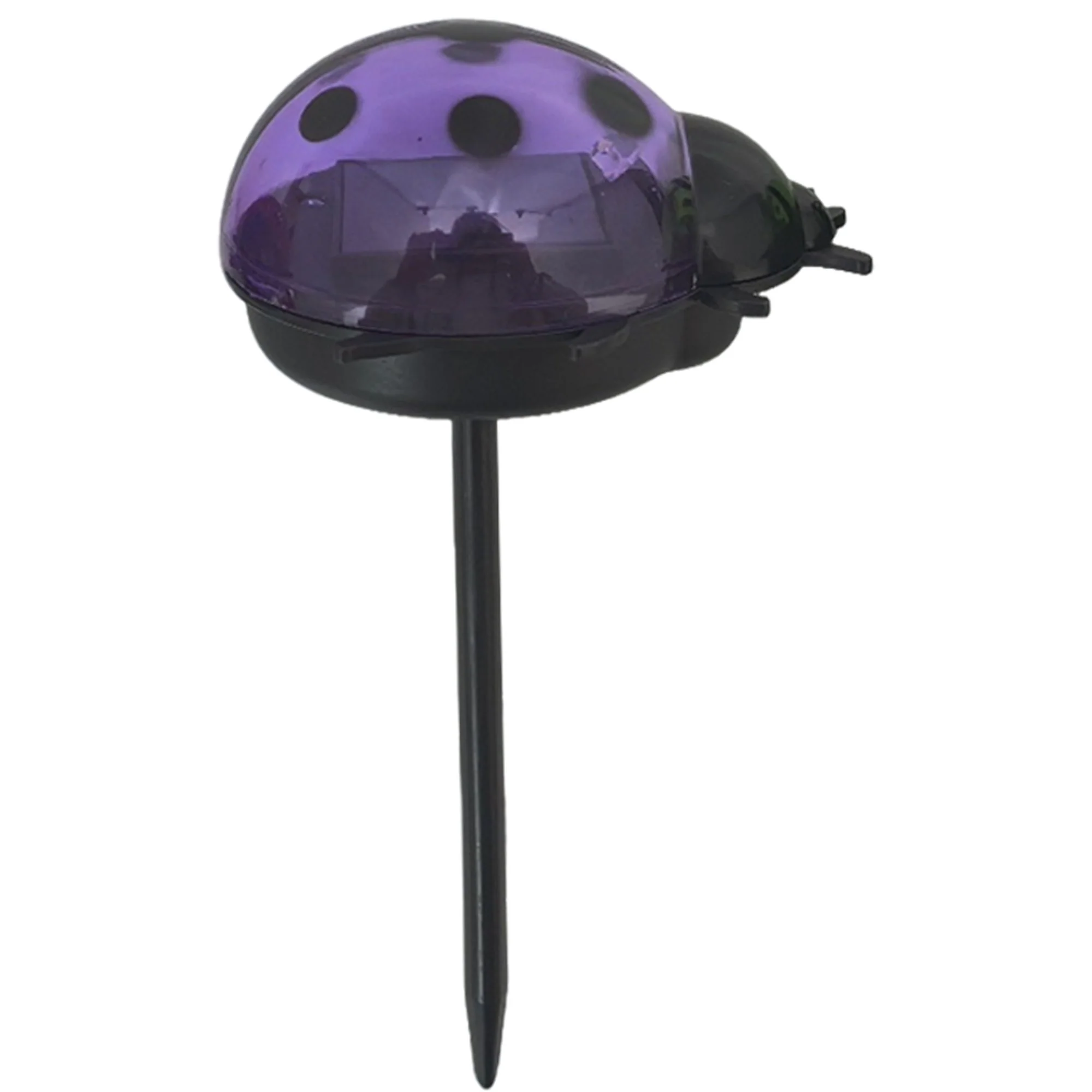 Lampe solaire coccinelle - Violet