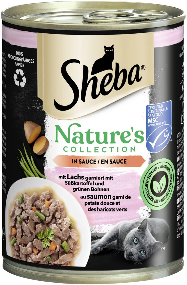 Pâté pour chat saumon, patate douce et haricots verts