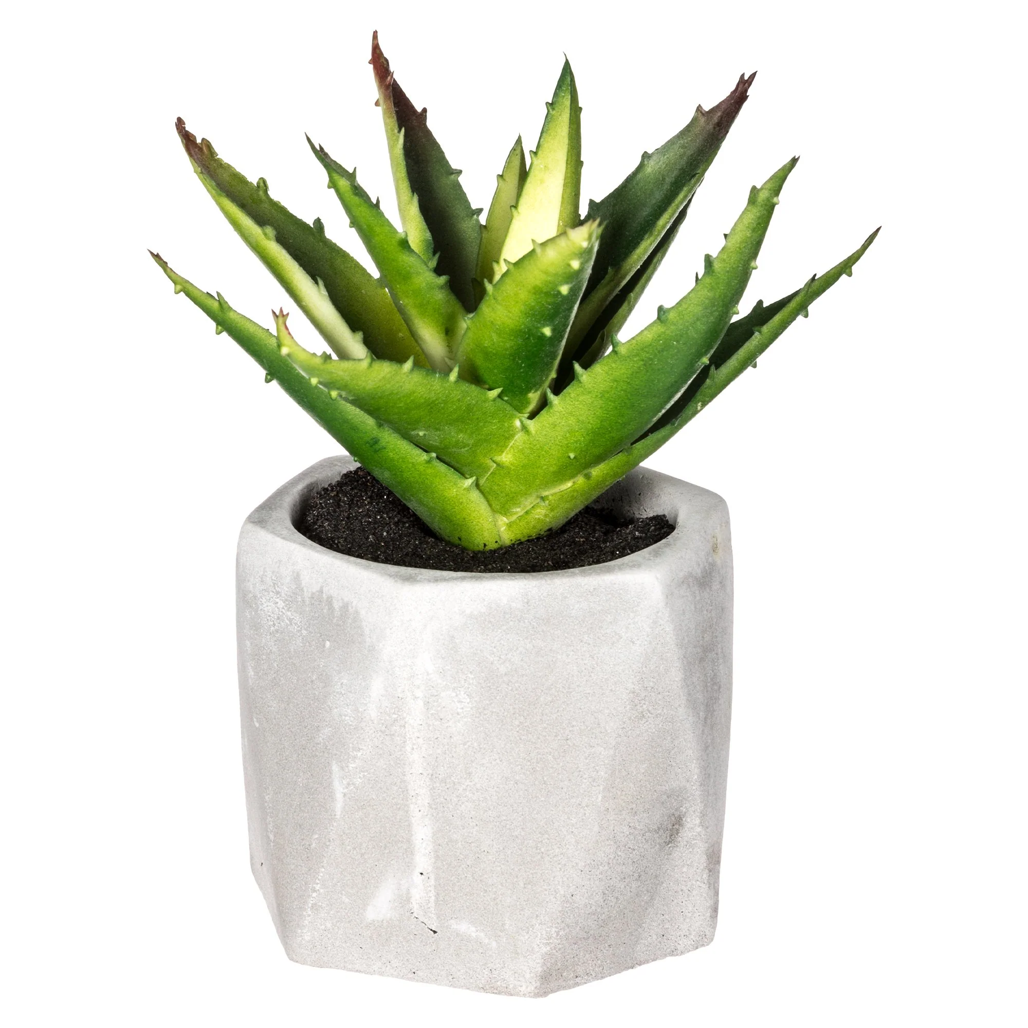 Plante pot ciment 14 cm