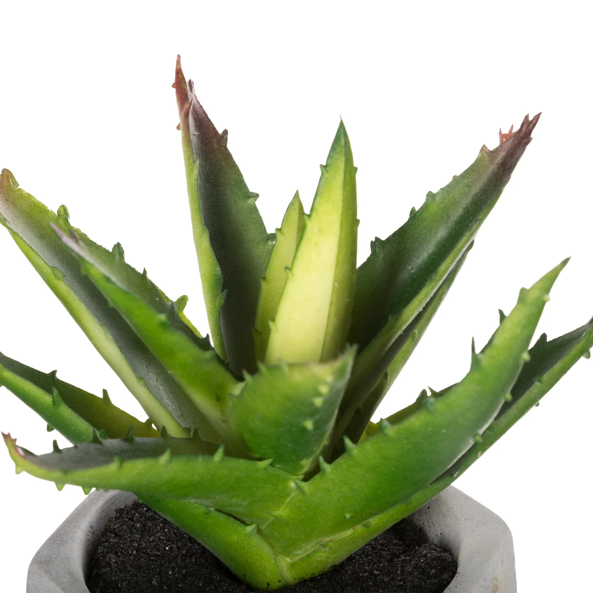Plante pot ciment 14 cm - Image 3