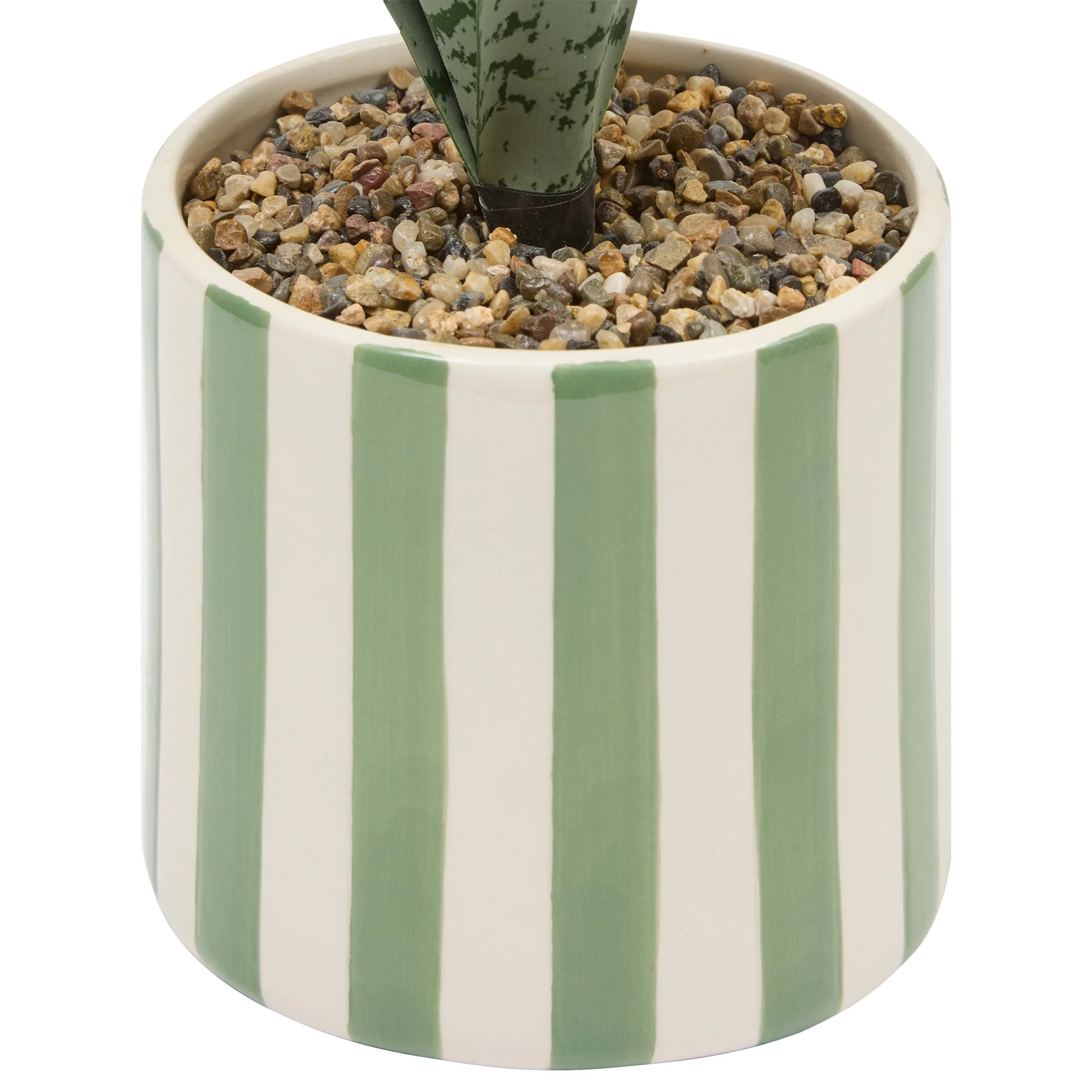 Plante verte pot céramique à rayures