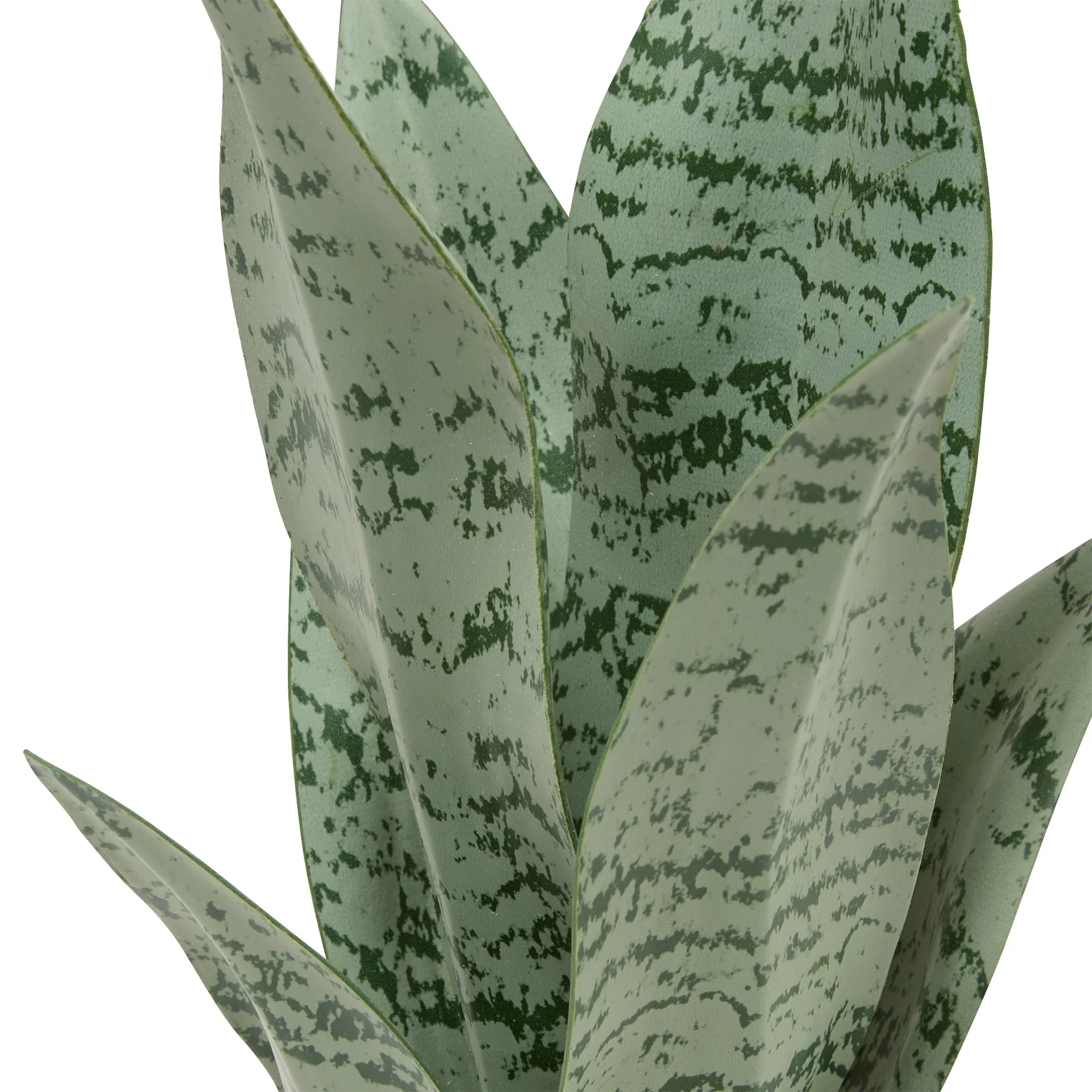 Plante verte pot céramique à rayures - Image 3