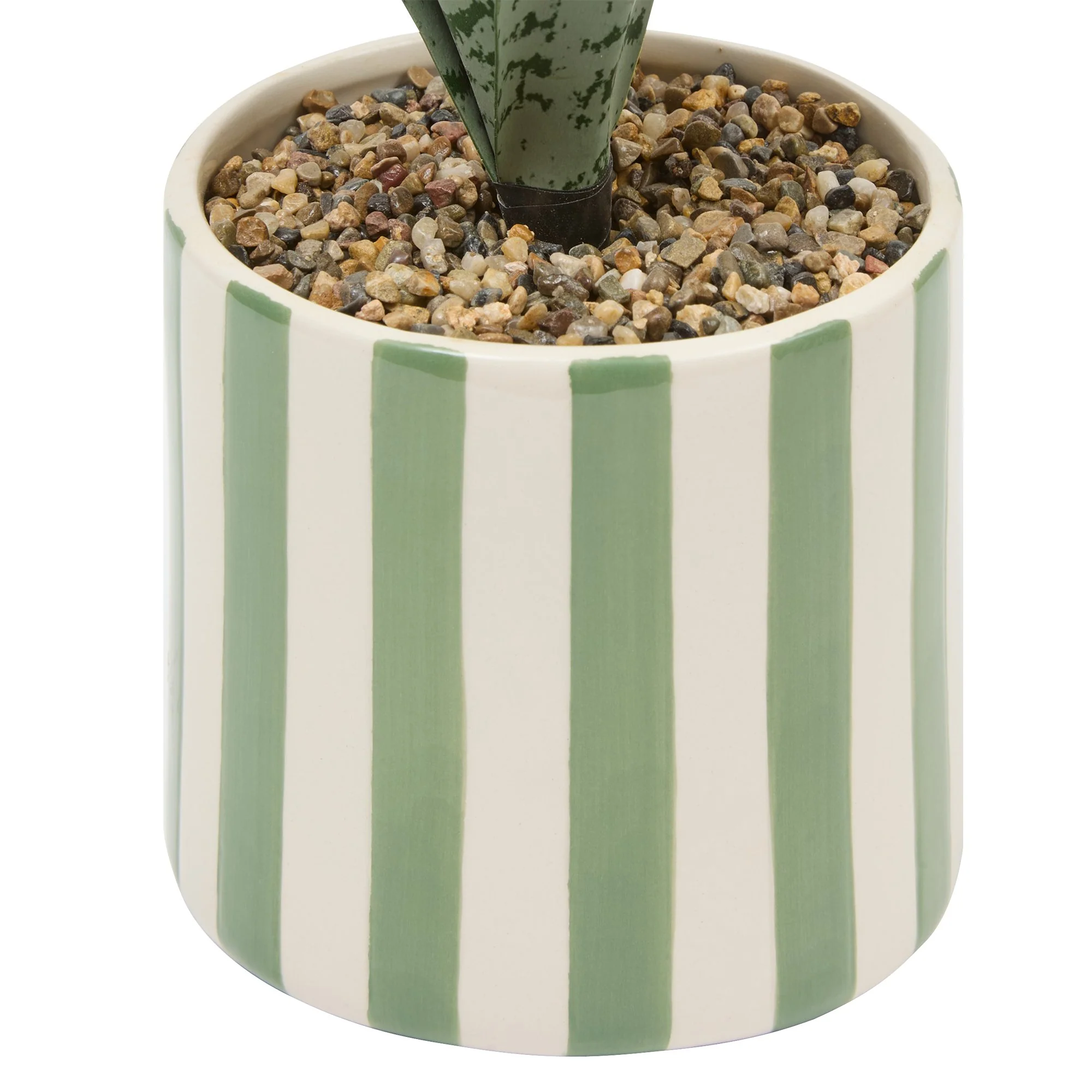 Plante verte pot céramique à rayures - Image 4