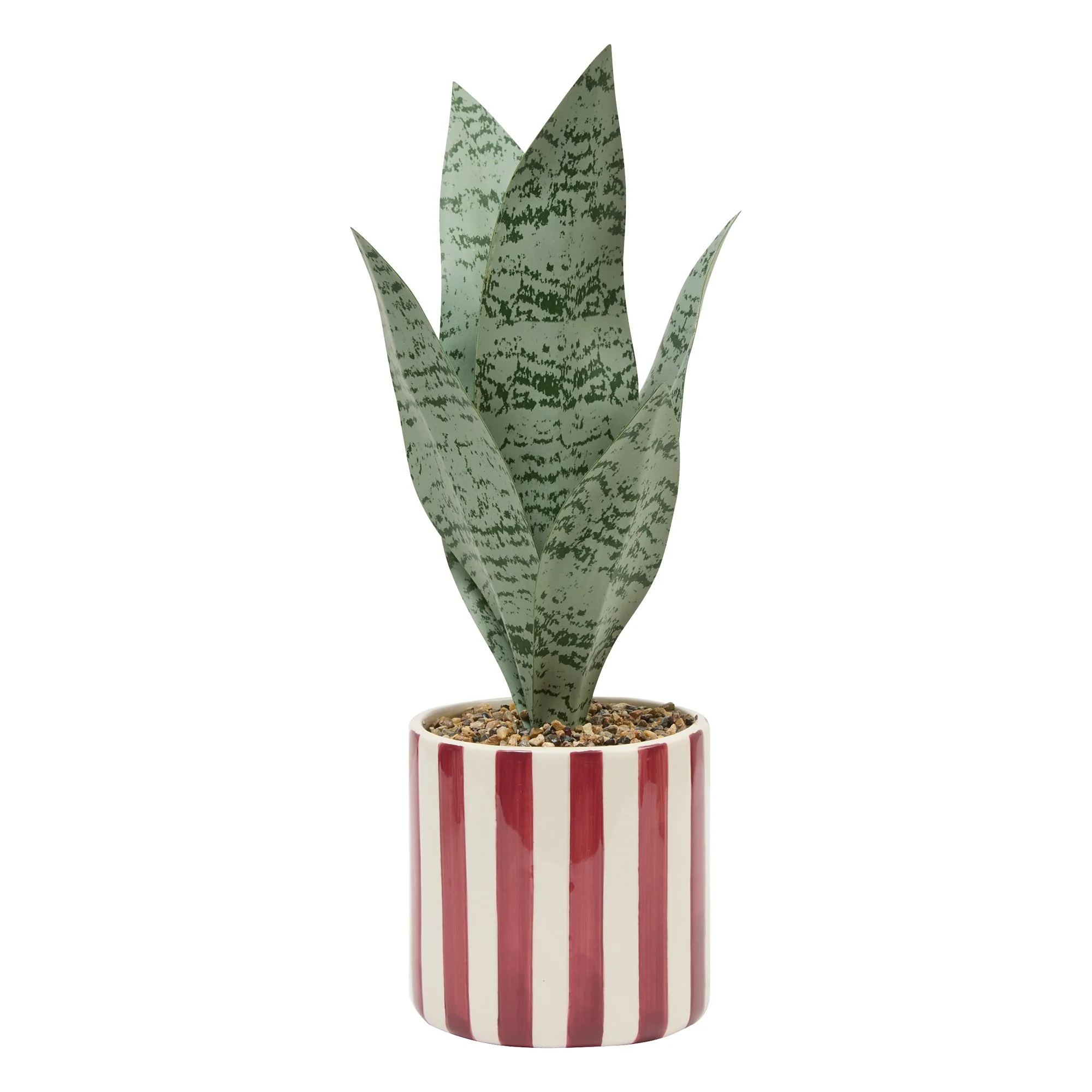 Plante verte pot céramique à rayures - Image 5