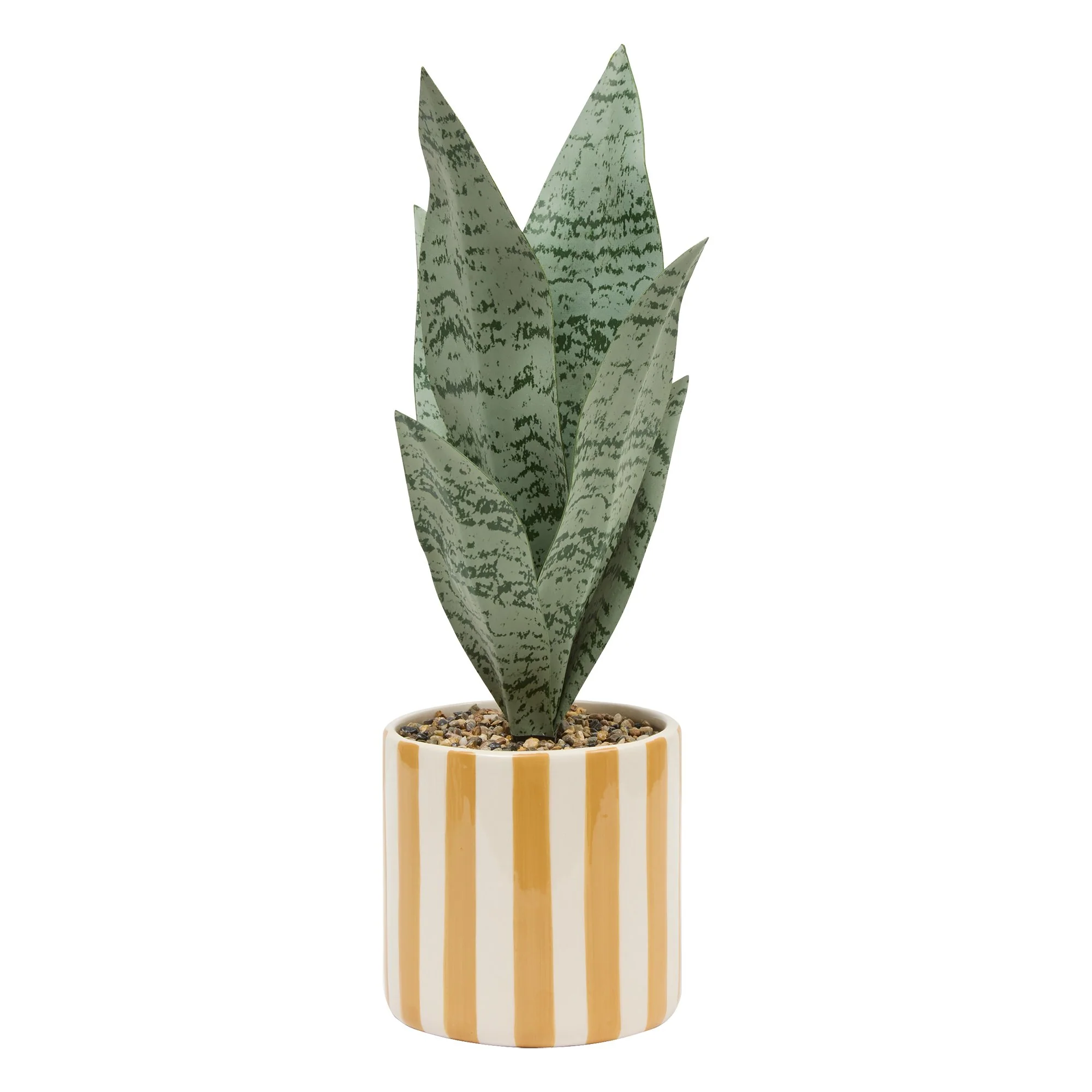 Plante verte pot céramique à rayures - Image 6