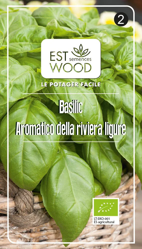 Semences de basilic aromatique bio