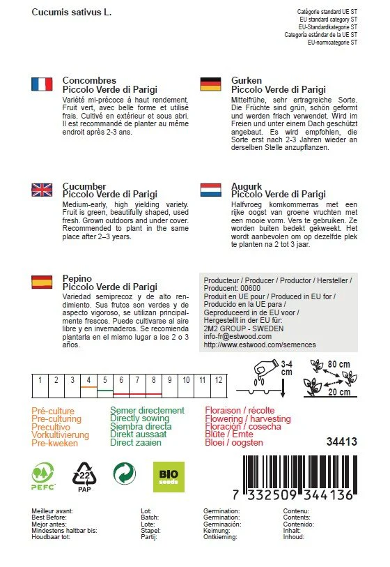 Semences de concombre bio - Image 2