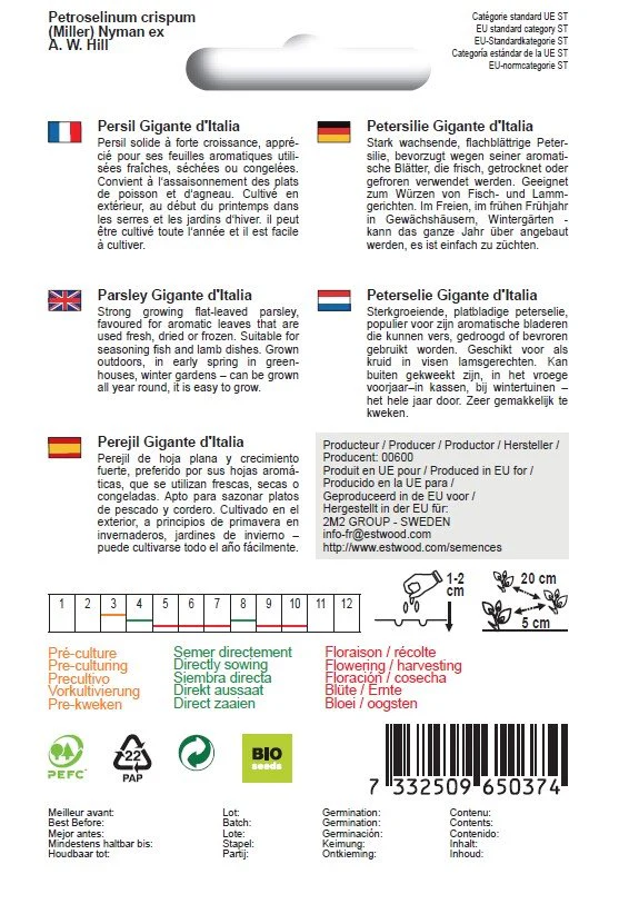 Semences de persil géant d'Italie bio - Image 2