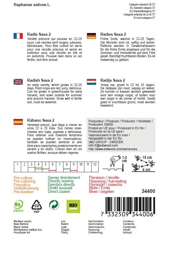 Semences de radis saxa Bio - Image 2