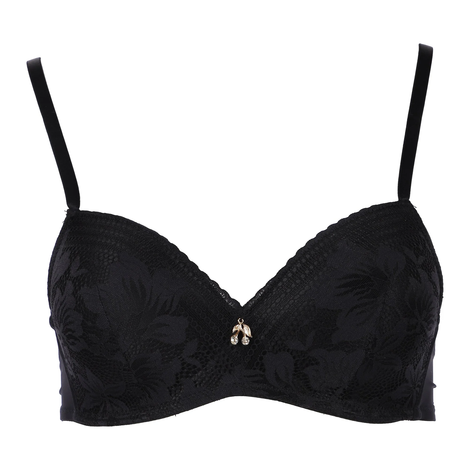 Soutien-gorge micro dentelle 2206